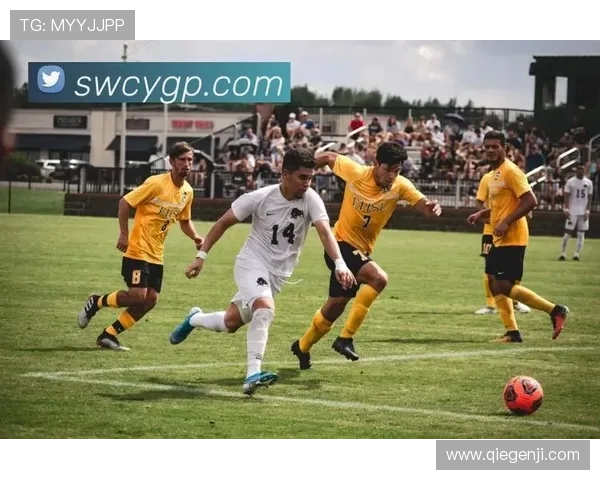 开云体育国际站全面升级用户体验，提供最专业的体育赛事直播与互动服务