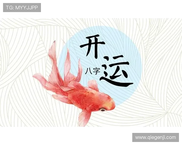 开运网址助你提升运势的最佳推荐指南