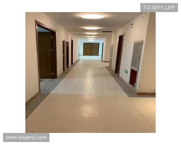 开云集团娱乐平台：多平台无缝连接打造一站式娱乐体验环境