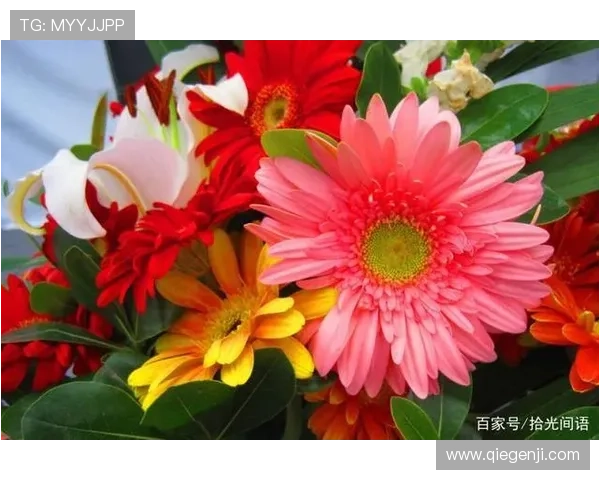 开启属于你的幸运之门，开运平台助你实现财运与健康双丰收