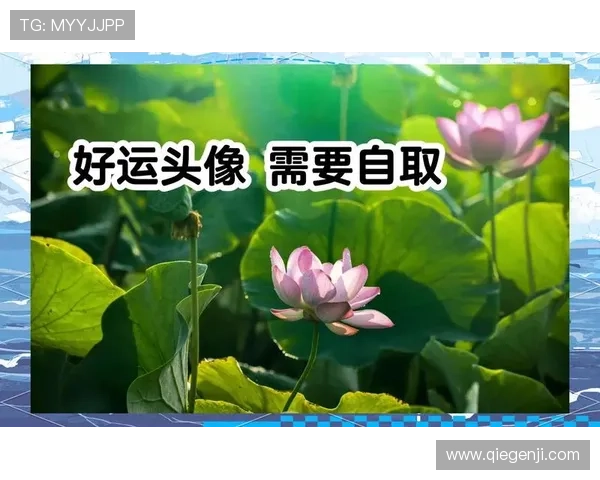 探索开运手机娱乐的神奇力量,让好运常伴左右 探索开运手机娱乐的神奇力量,让好运常伴左右