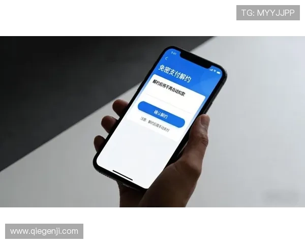 开云在线支付账户安全设置指南，提升账户安全等级有效防止资金被盗风险